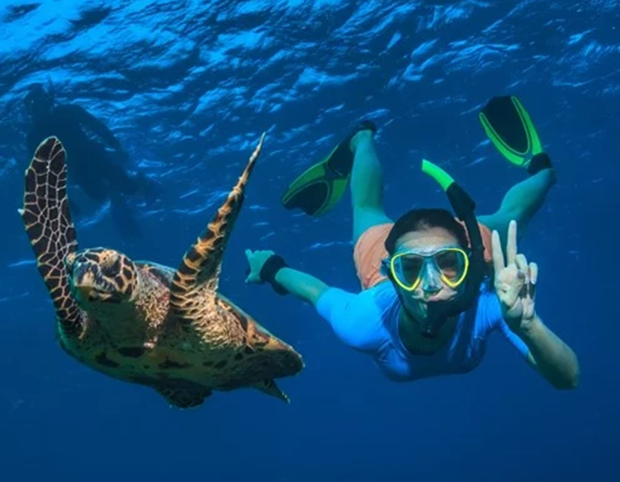 Diver at the Seychelles next to a sea turtle underwater
