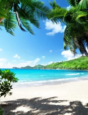 A Seychelles beach during a sunny day.