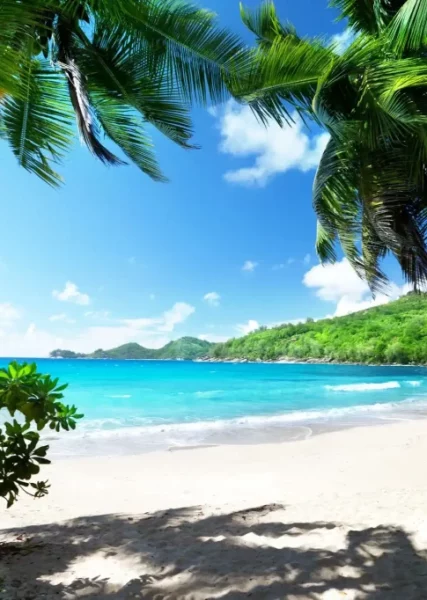 A Seychelles beach during a sunny day.