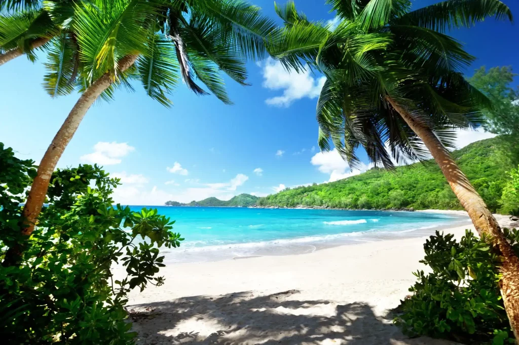 A Seychelles beach during a sunny day.