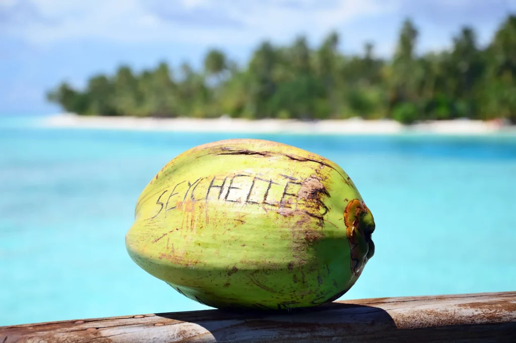 Green coconut resting on a wooden bench in the Seychelles.