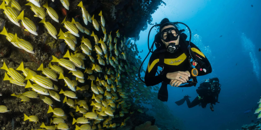 Diver exploring the vibrant underwater world of the Seychelles, surrounded by a school of yellow striped fish.