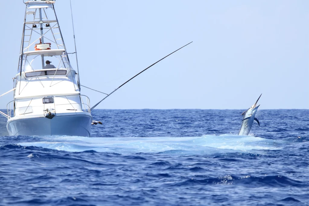 A sport fishing boat in the open sea with a marlin leaping out of the water, a thrilling part of deep-sea fishing adventures in the Seychelles.
