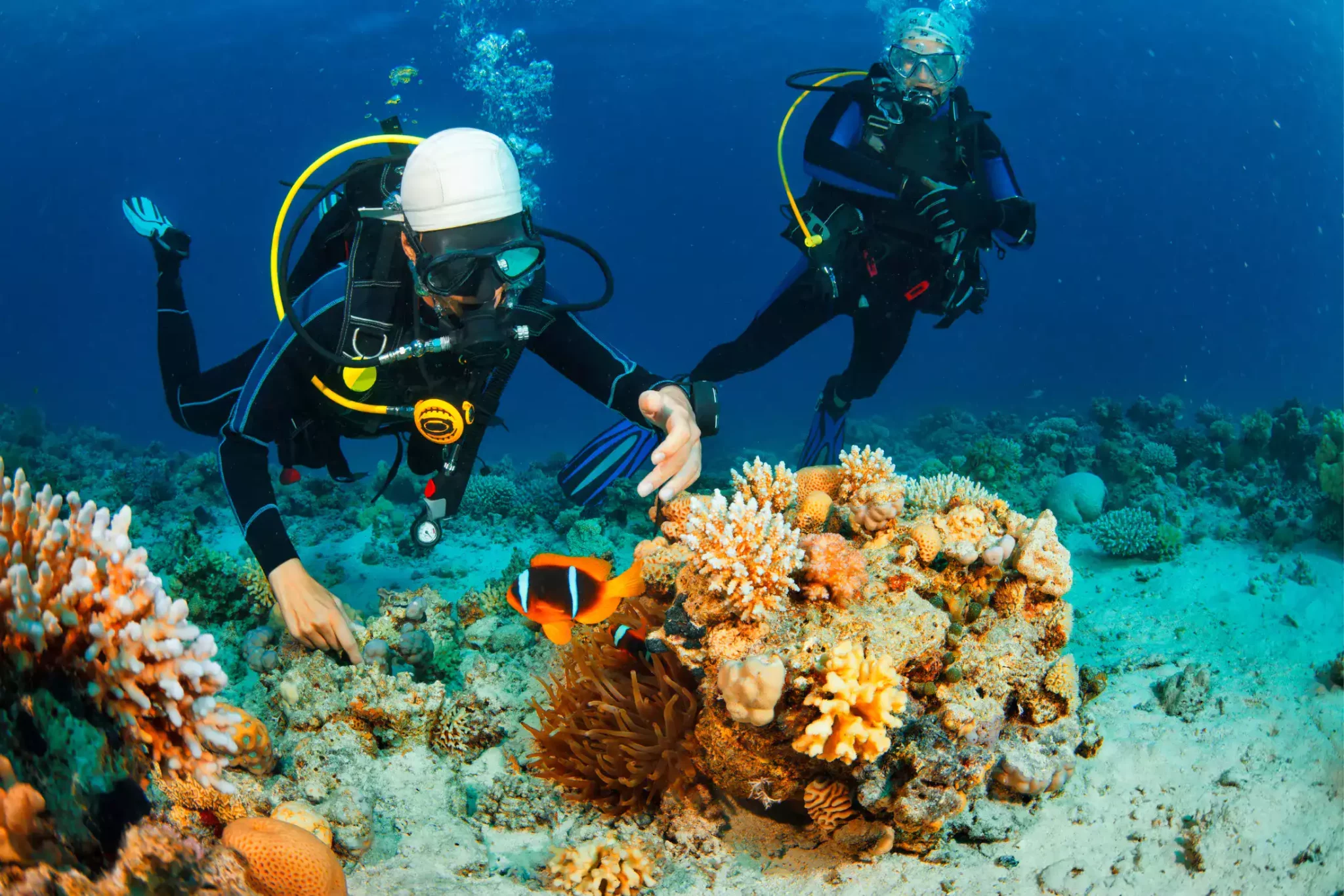 Two scuba divers exploring the vibrant coral reefs, with a curious fish swimming close by, in the clear waters of the Seychelles.