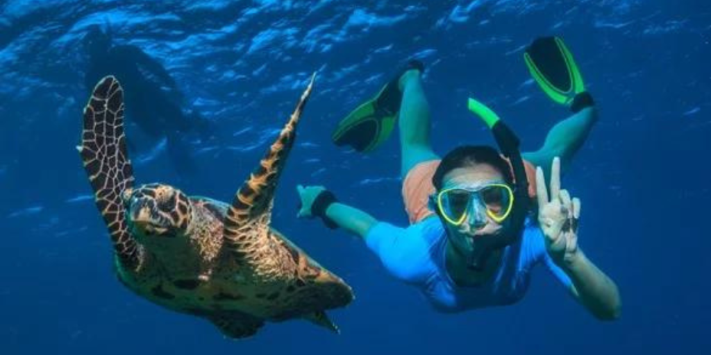 Underwater diver at the Seychelles next to a sea turtle.