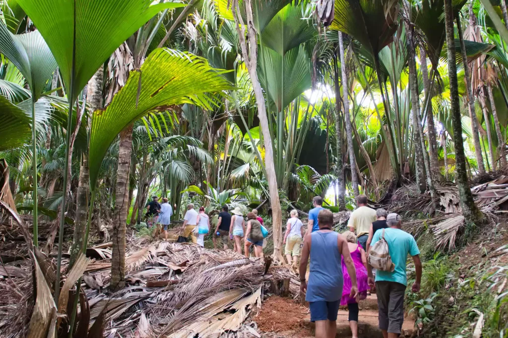 Tourists walking through Vallée de Mai national parks in Seychelles.