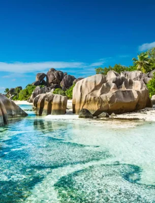 Beach in the Seychelles boredered by palm trees and granite boulders.