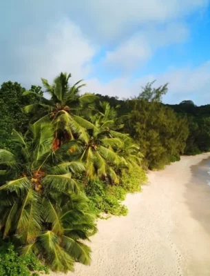 A peaceful Seychelles beach on a sunny day.