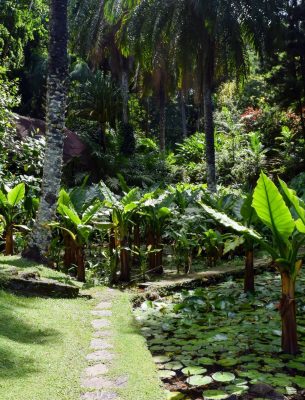 National Botanical Garden in Seychelles