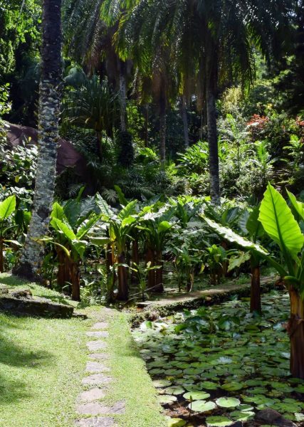 National Botanical Garden in Seychelles