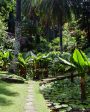 National Botanical Garden in Seychelles