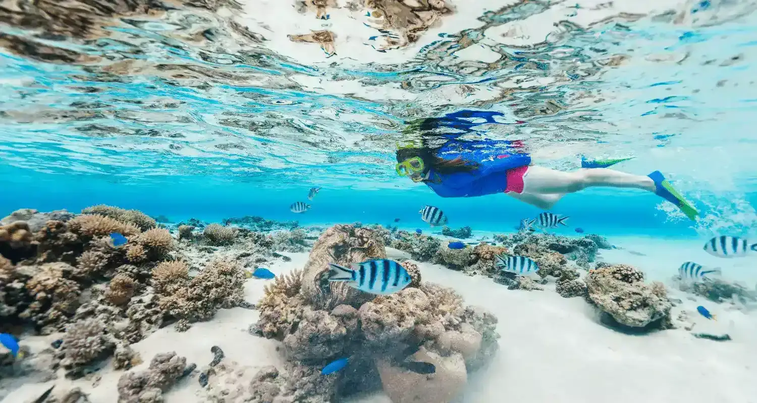 Diving at Anse Georgette