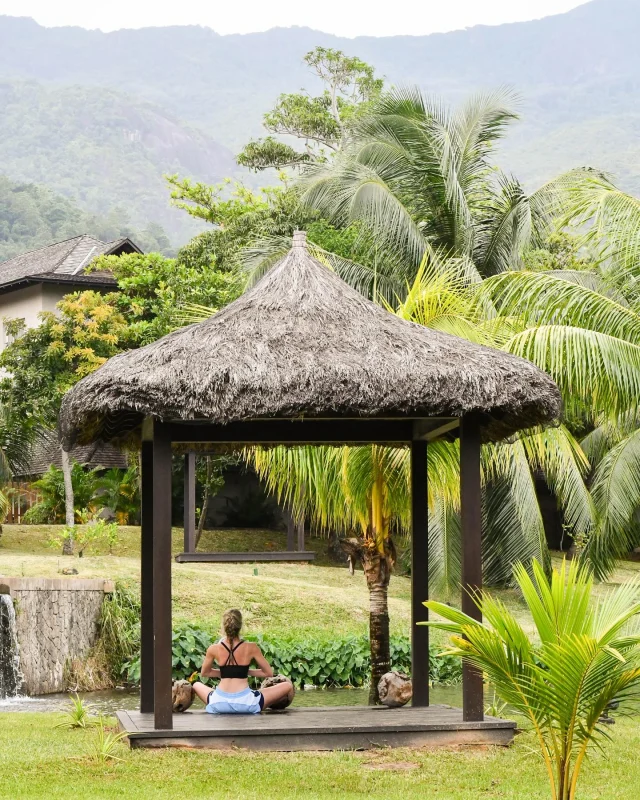 Mindfulness storyseychelles 🌱
.
.
#travel #travelplaces #goingplaces #seychelles #seychelleshotel #luxuryhotel #hotellife #poollife #summer #accommodation #honeymoon #holiday #vacation #holidaylife #luxuryhotels #breakaway #ooo